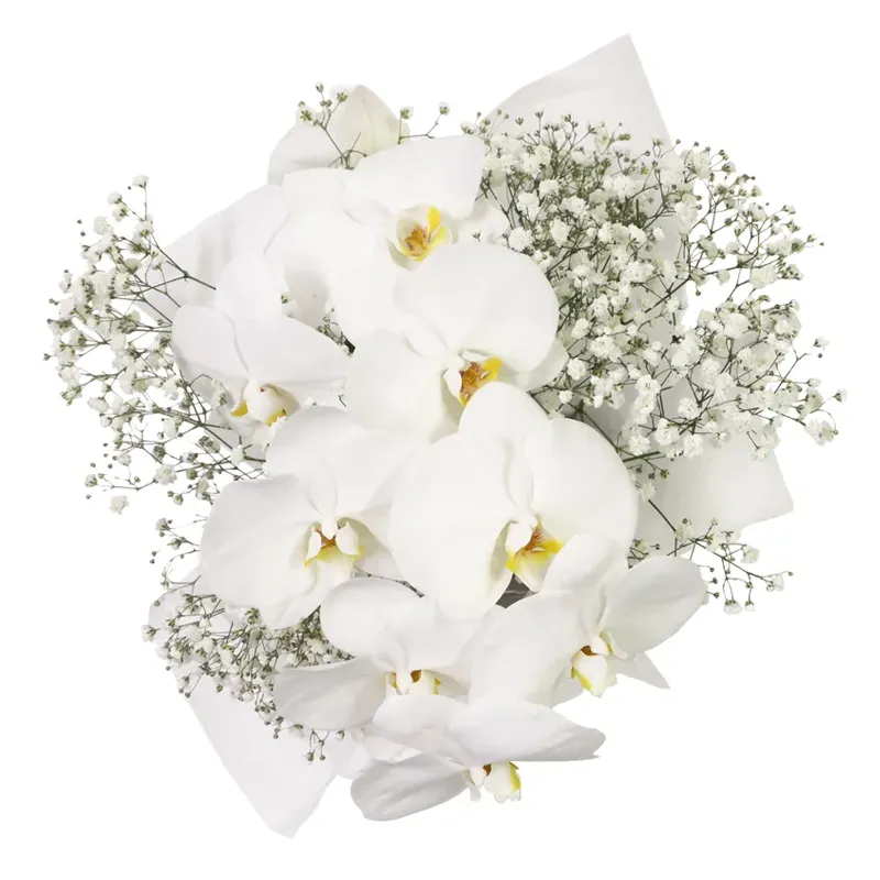 Цветы в коробке Цветные кисти